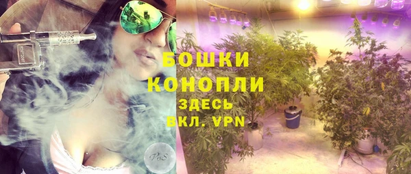ГАЛЛЮЦИНОГЕННЫЕ ГРИБЫ Магас