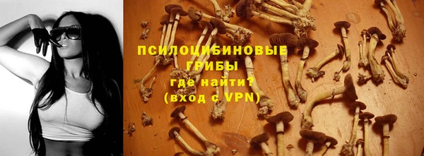 ГАЛЛЮЦИНОГЕННЫЕ ГРИБЫ Магас