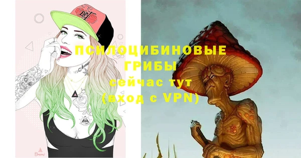 ГАЛЛЮЦИНОГЕННЫЕ ГРИБЫ Магас