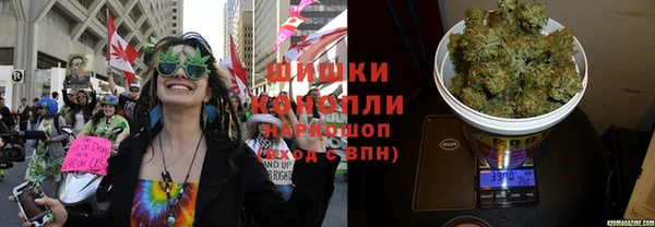 ГАЛЛЮЦИНОГЕННЫЕ ГРИБЫ Магас