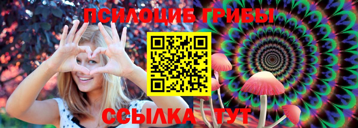 Псилоцибиновые грибы прущие грибы Электросталь