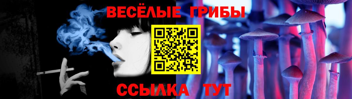 Галлюциногенные грибы мицелий Электросталь