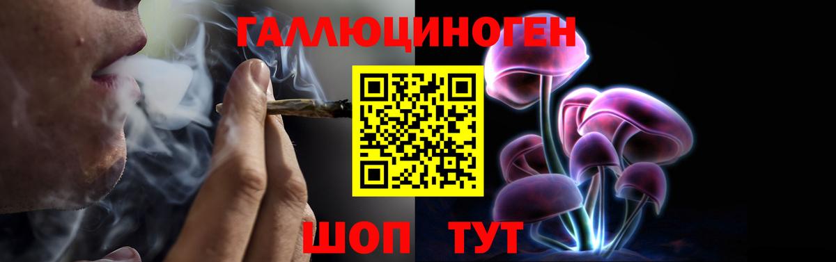 Псилоцибиновые грибы ЛСД  Псилоцибиновые грибы Psilocybe  Электросталь 